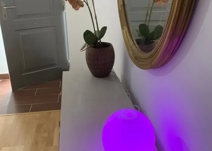 아파트 Lico El Barraco